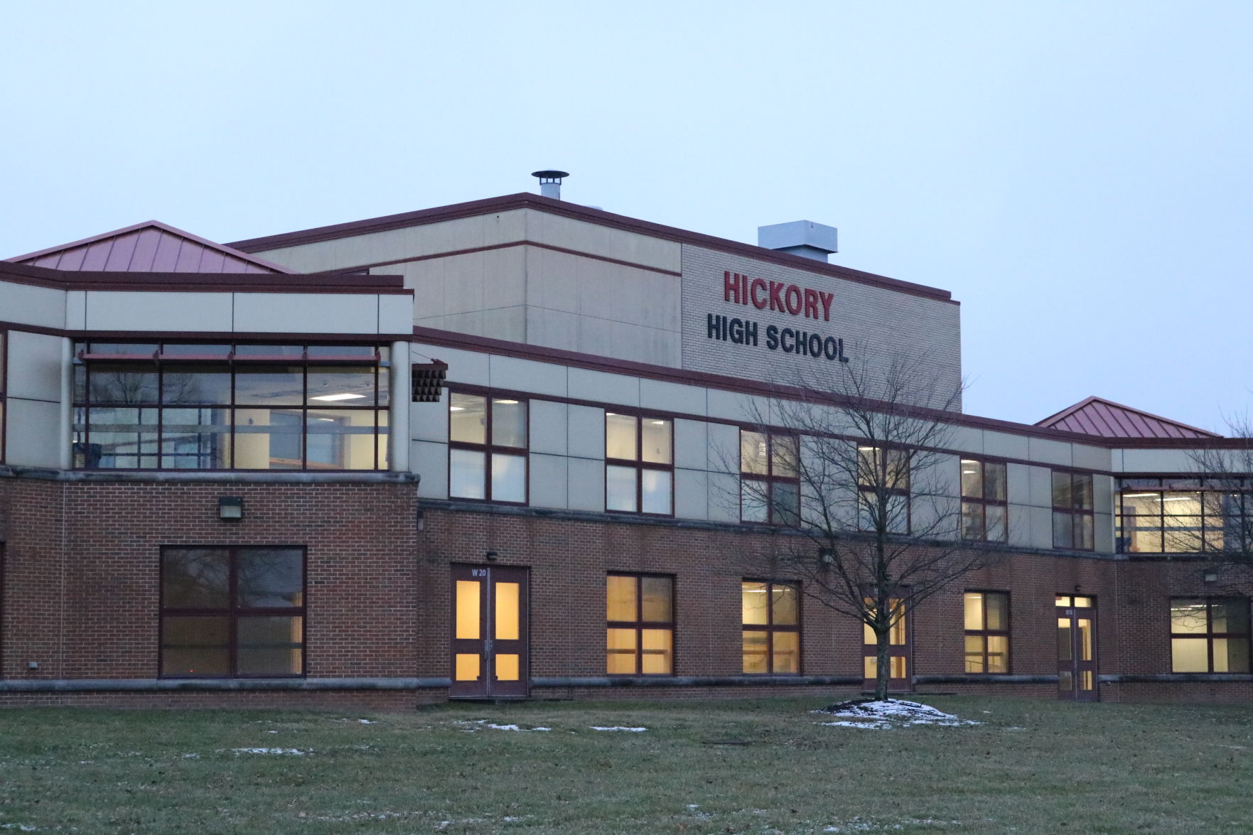 hickory1